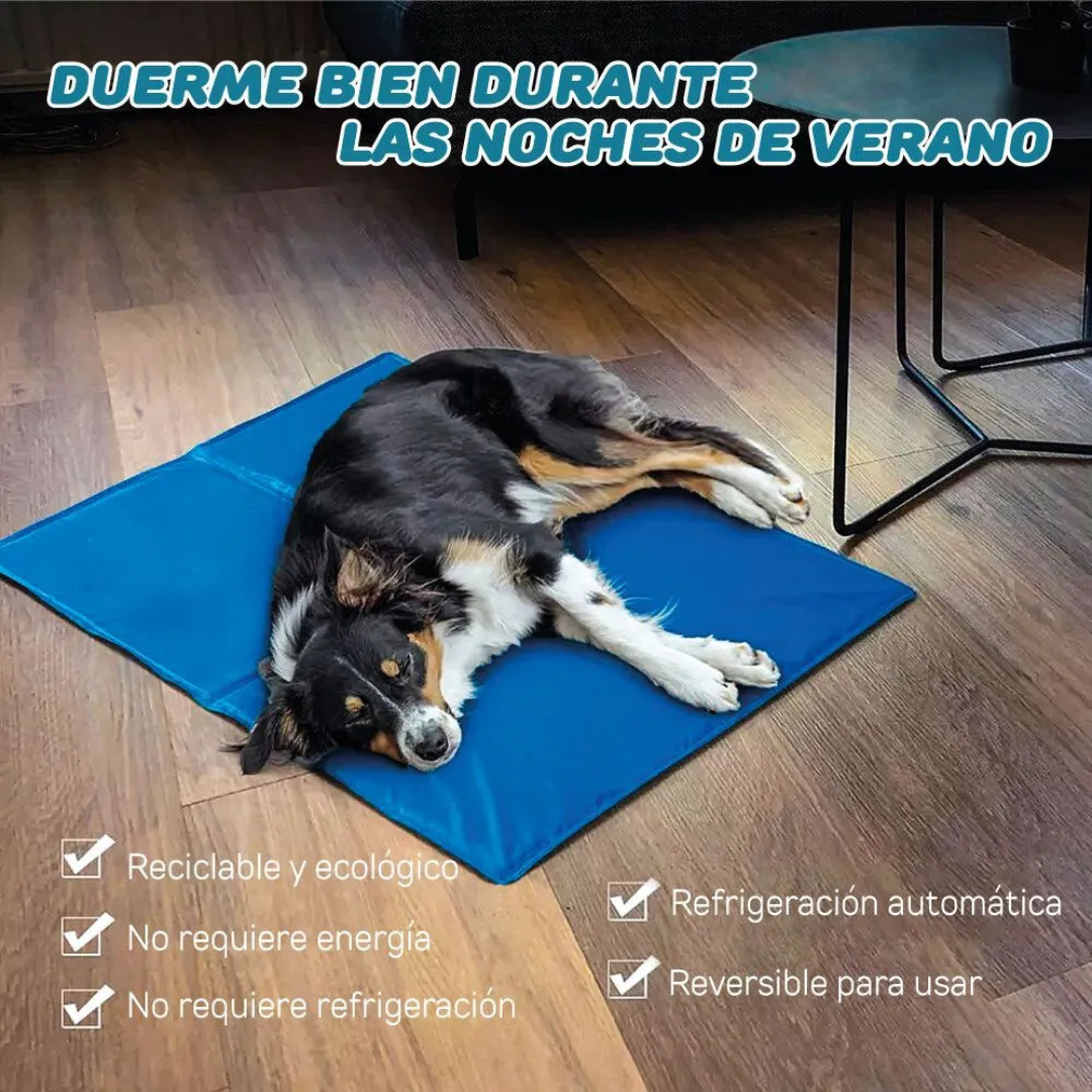 Cool Mat Alfombra Fría para Mascota