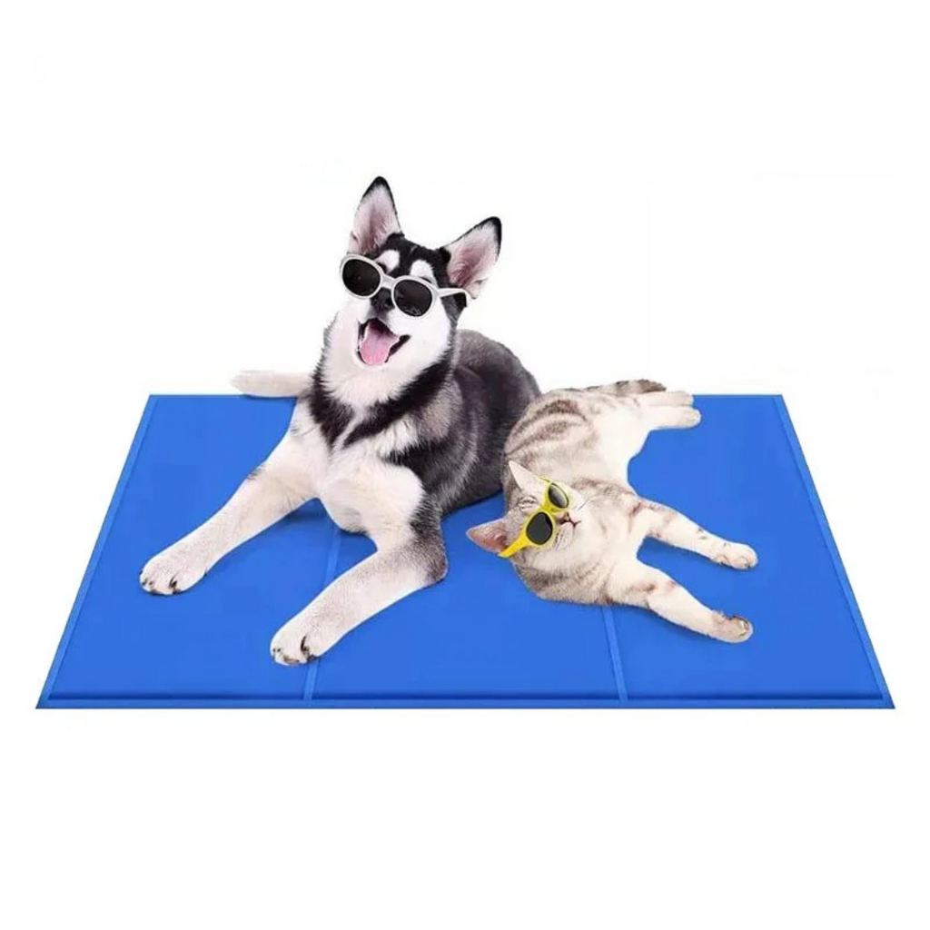Cool Mat Alfombra Fría para Mascota