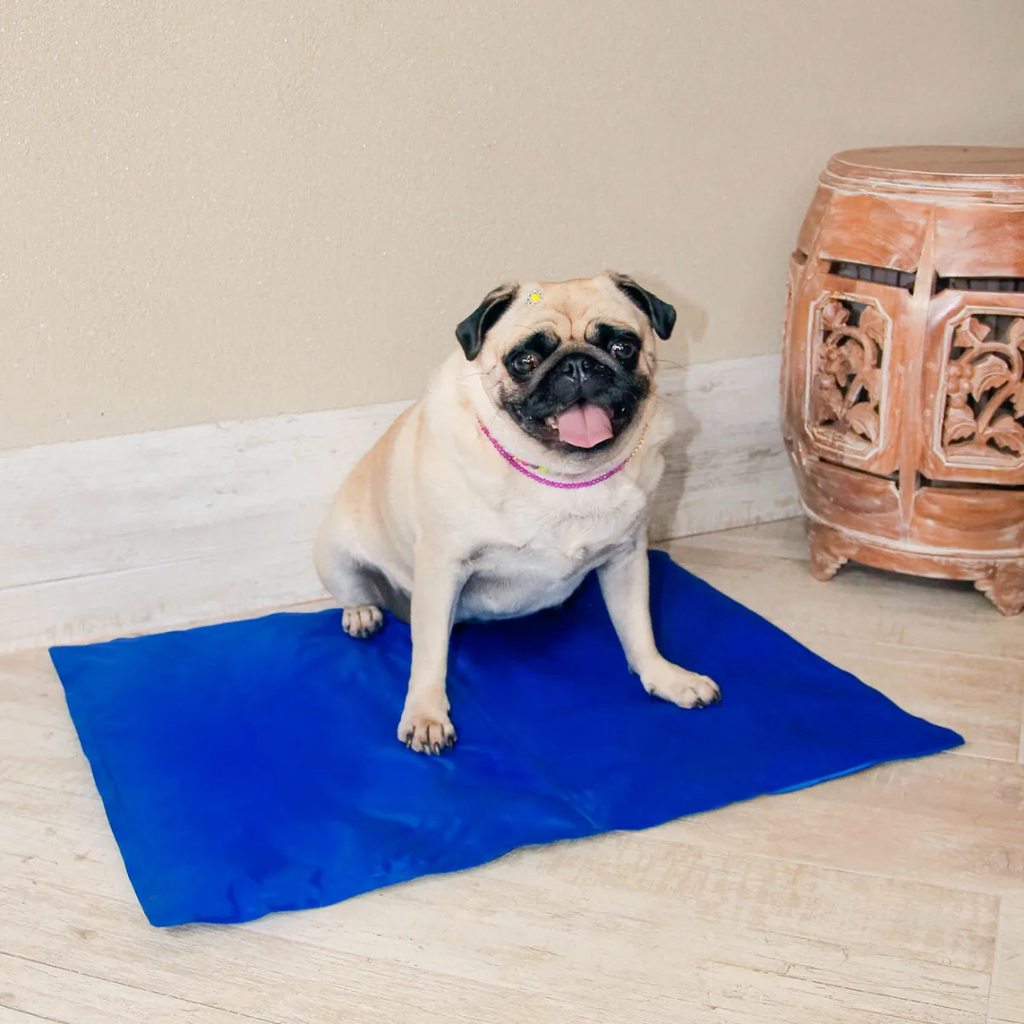 Cool Mat Alfombra Fría para Mascota
