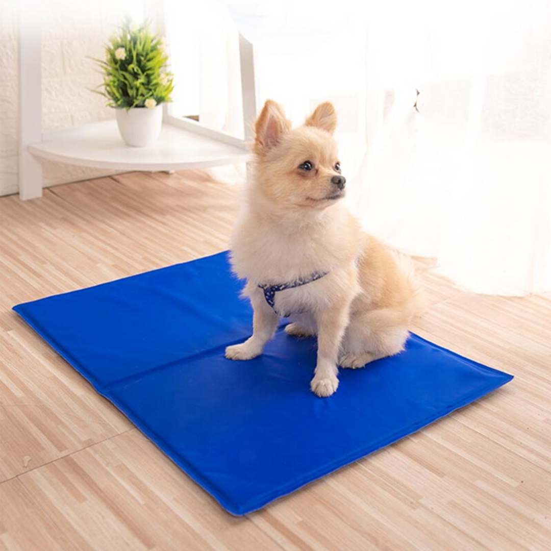 Cool Mat Alfombra Fría para Mascota